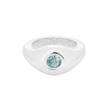 The Highline Silver Band