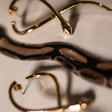 The Highline Medusa Earrings